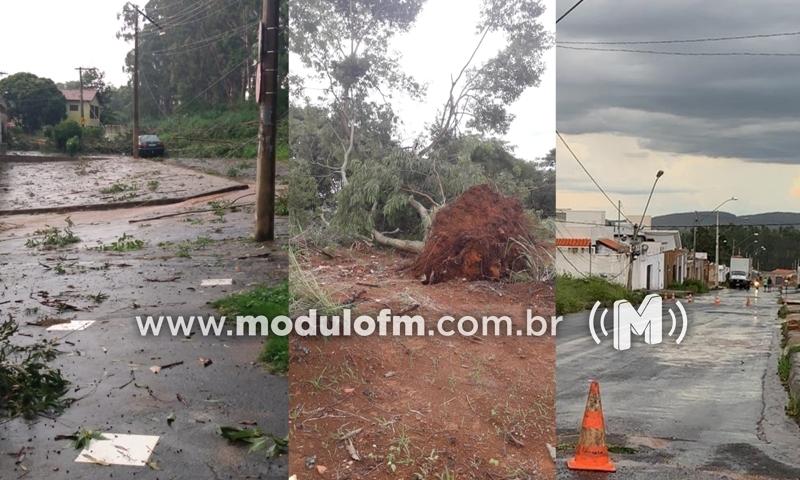 Temporal com ventos fortes derruba árvores, danifica carros e...