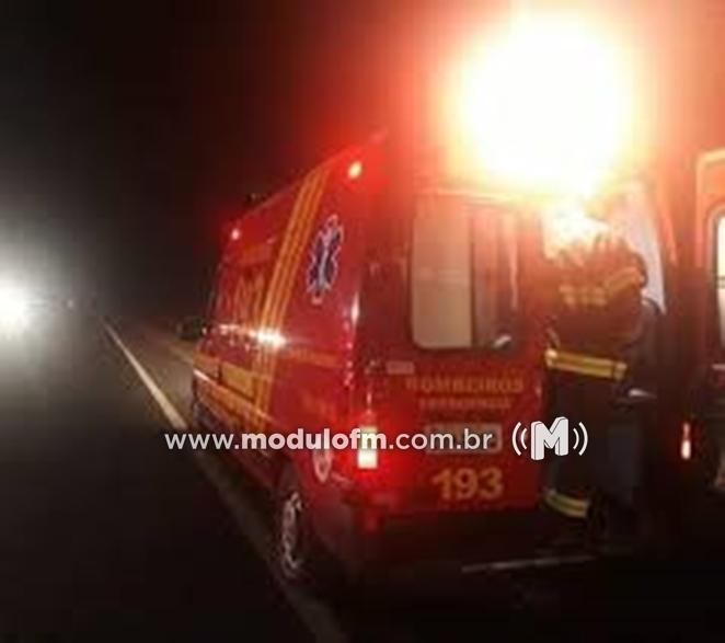 Colisão entre caminhão e boi deixa animal morto e...