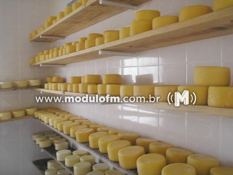 Prorrogado o prazo para certificação do queijo minas artesanal