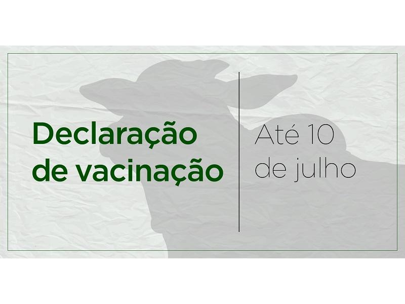 Termina hoje (10) prazo para declarar vacinação contra febre...