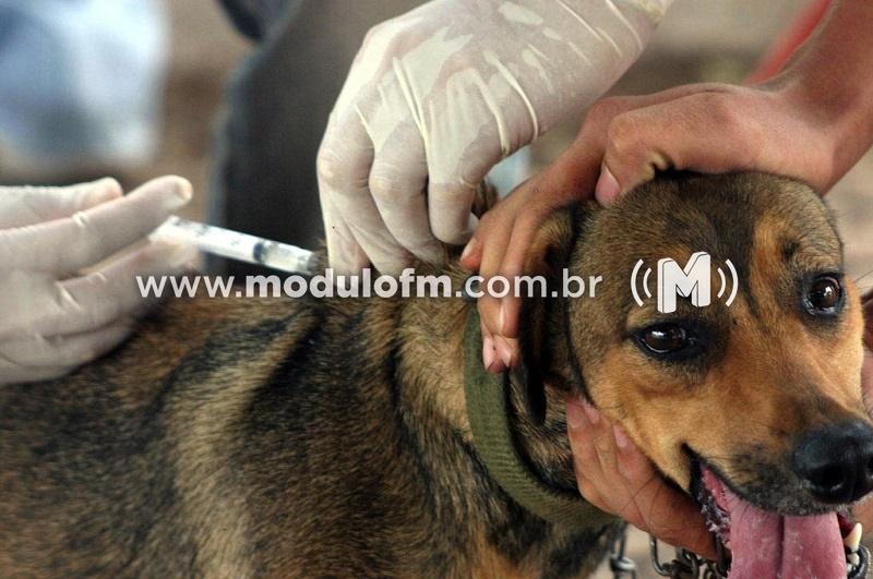 Coordenador da vigilância epidemiológica alerta para riscos da contaminação...