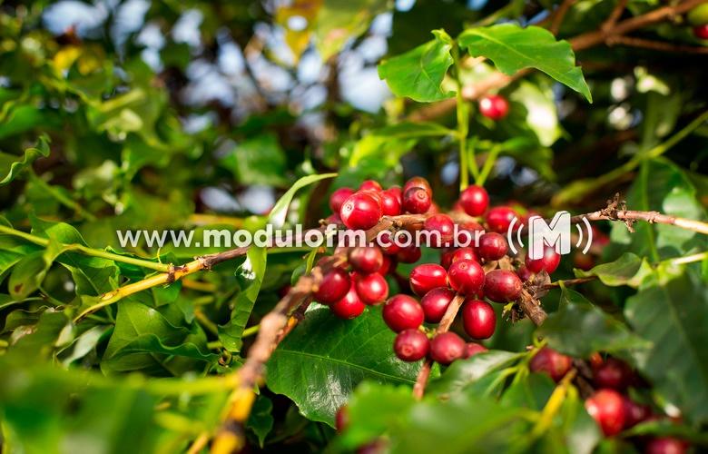Inscrições para o Concurso Estadual de Cafés de Qualidade...