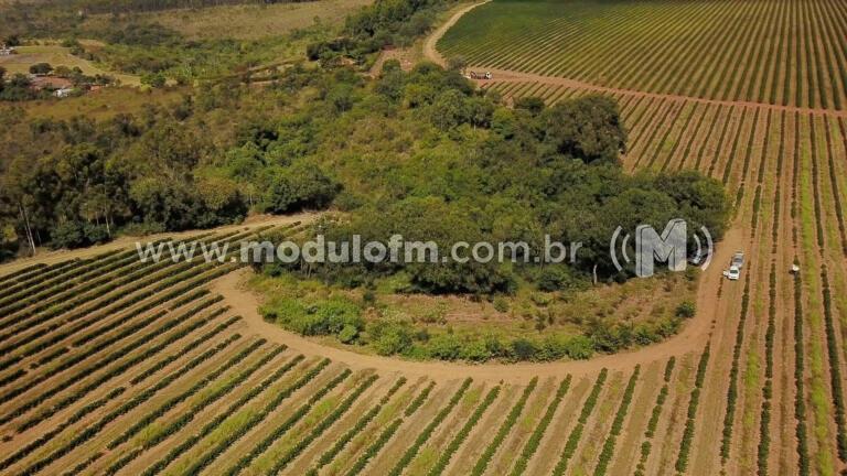Consórcio Cerrado das Águas atrai investimentos de entidades financeiras...