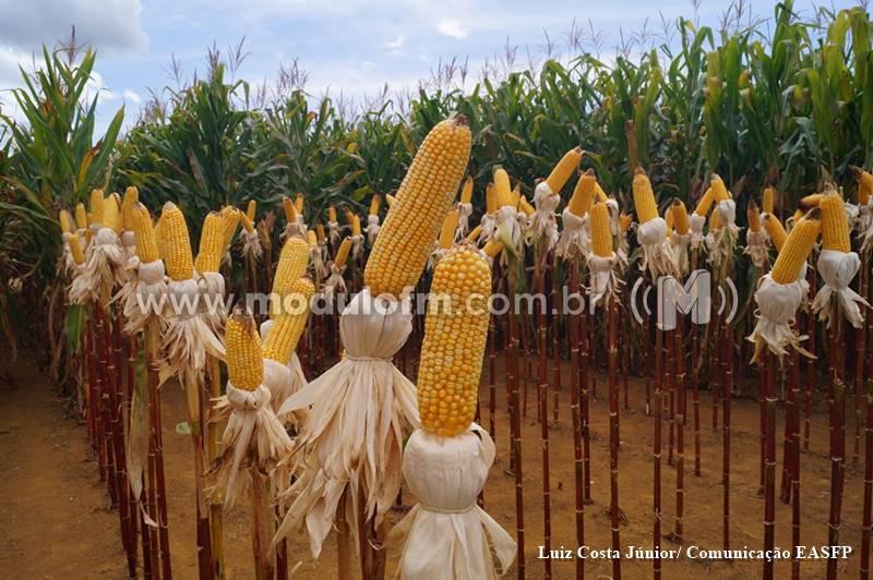 EASFP e UNICERP firmam parceria com a Bayer Monsanto...