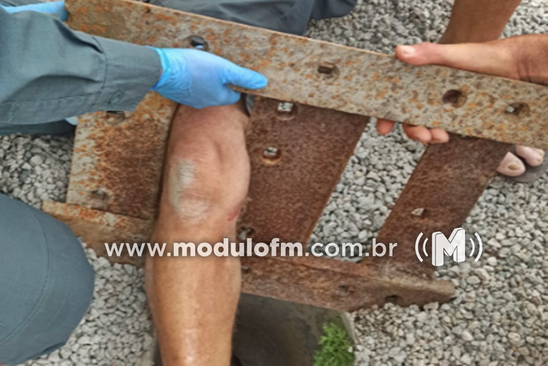 Bombeiros resgatam gato que ficou preso dentro de bueiro...