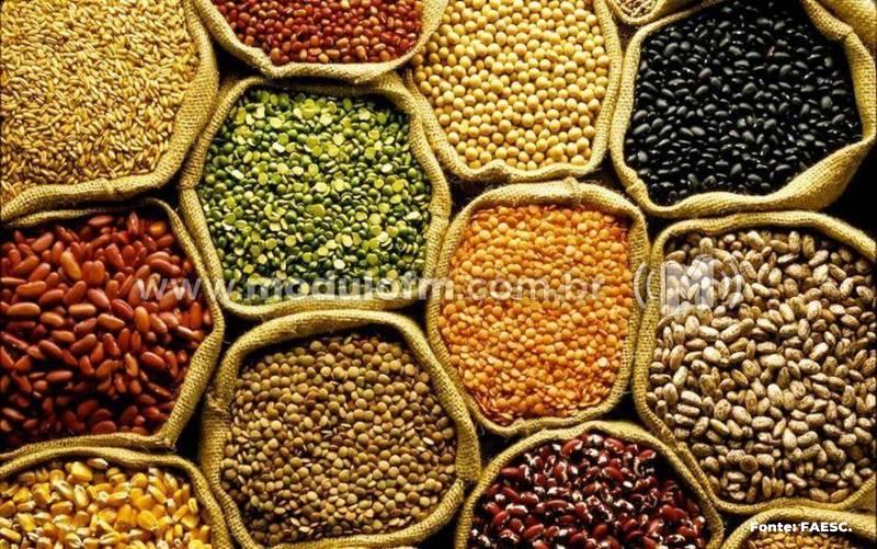 Produção de grãos deve atingir 308 milhões de toneladas,...