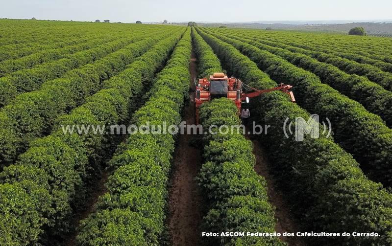 Inscrições da 10ª edição do Prêmio Região do Cerrado...
