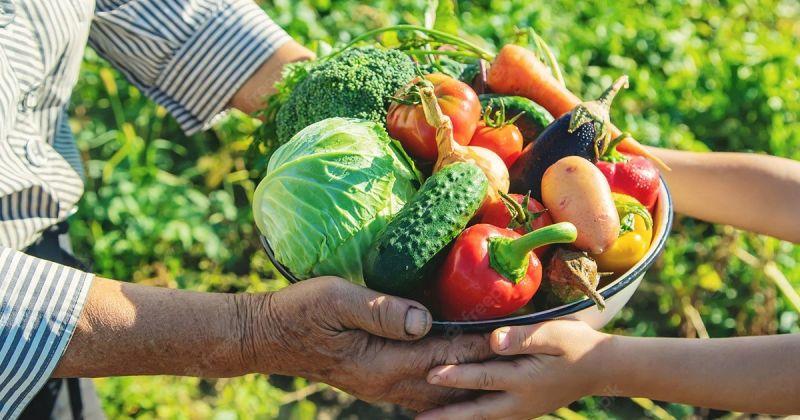 Agricultura familiar terá novo cadastro a partir desta terça-feira...