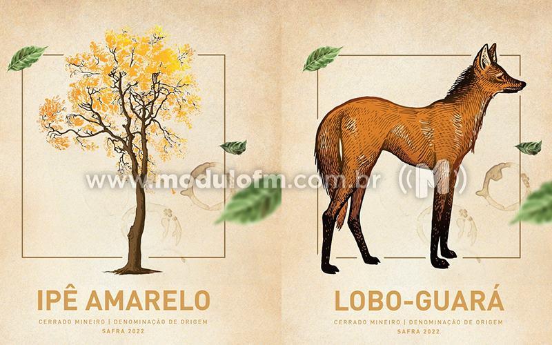Região do Cerrado Mineiro lança cafés especiais em comemoração...