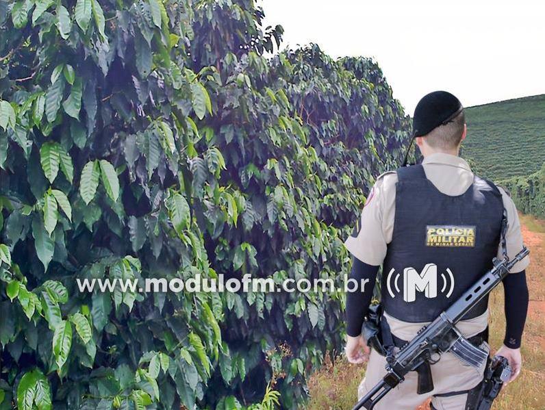 Criminosos invadem propriedade e furtam sacas de café em...