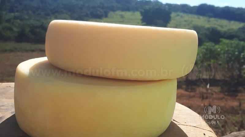 Queijo Minas Artesanal produzido em Patrocínio se classifica para...
