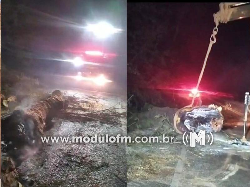 Bombeiros enfrentam desafios na madrugada para liberar rodovia após...