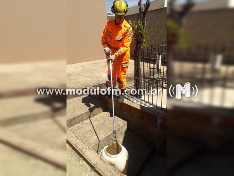 Corpo de Bombeiros age rápido para capturar cobra cascavel...
