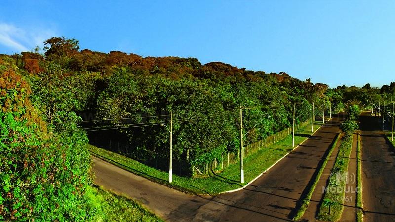 Licitação para revitalização do Parque da Matinha é dada...