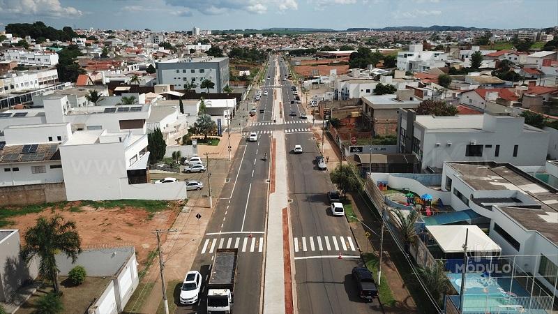 Prefeito anuncia início de plantio dos ipês na Avenida...