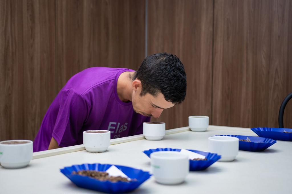 Expocacer lança mapeamento para identificar cafés especiais do Cerrado Mineiro