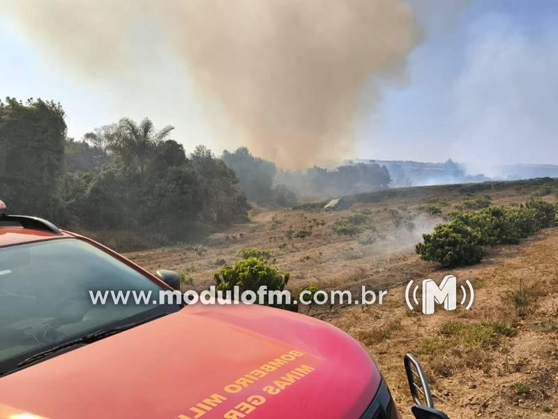 Incêndio de grandes proporções atinge lavouras de café e...