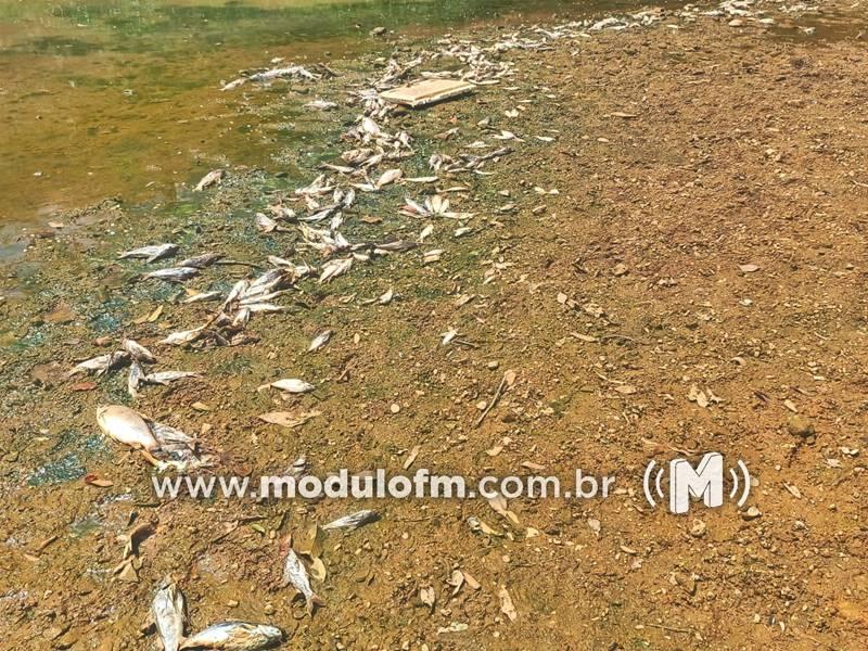 Núcleo de Emergências Ambientais e Polícia Ambiental investigam grande...