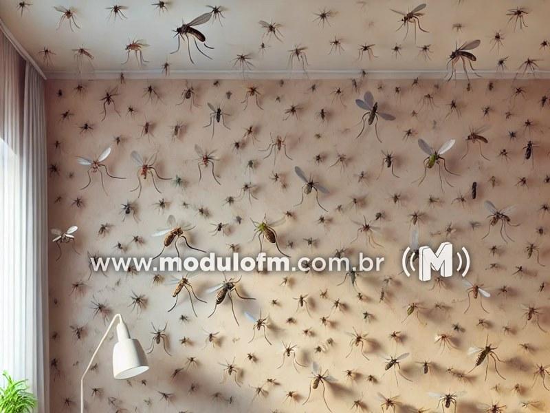 Infestação de pernilongos no bairro Belvedere em Patrocínio gera...
