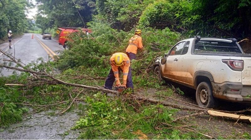 Durante forte chuva, árvore cai sobre veículo na MG-187...