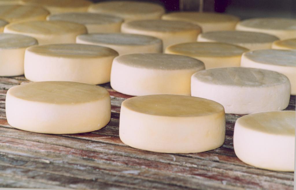 Patrocínio sediará no início de março 1º Festival de...