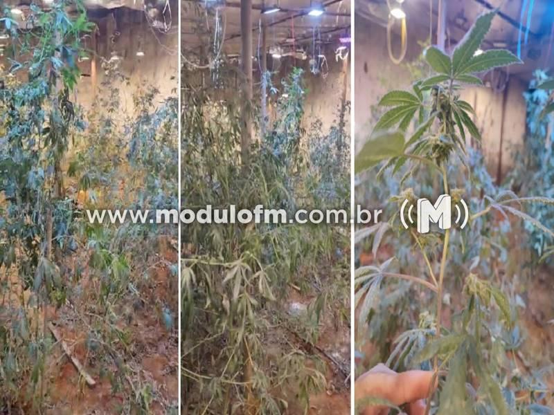 Polícia Militar intensifica ações pré-Carnaval e desmonta esquema de...