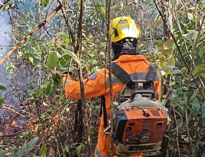 Incêndio atinge Área de Preservação Permanente próximo a Silvano