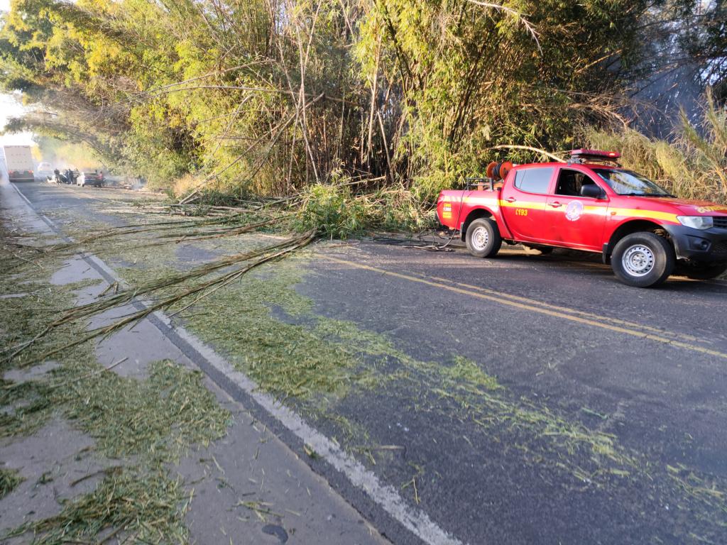 Imagem 4 do post Incêndio em moita de bambu provoca capotamento na MG-230 próximo à comunidade de Tejuco
