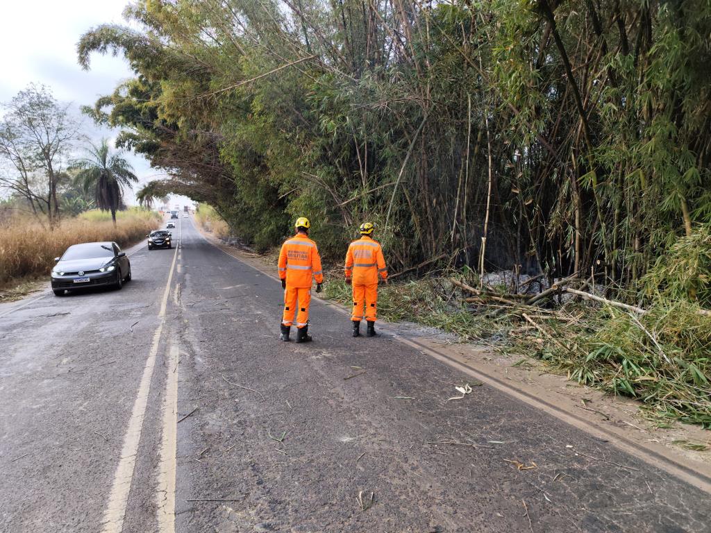 Imagem 10 do post Incêndio em moita de bambu provoca capotamento na MG-230 próximo à comunidade de Tejuco
