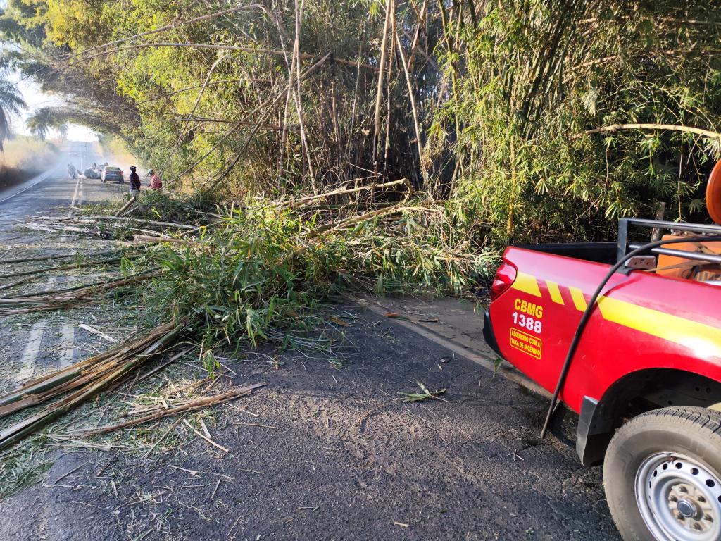 Imagem 1 do post Incêndio em moita de bambu provoca capotamento na MG-230 próximo à comunidade de Tejuco