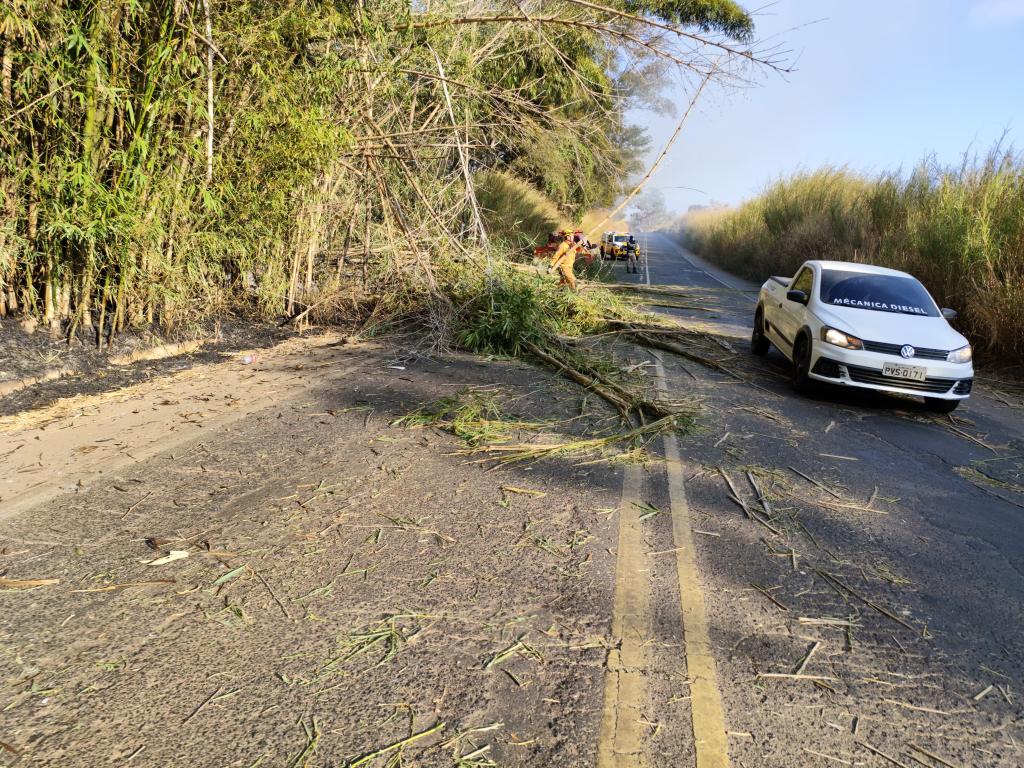 Imagem 5 do post Incêndio em moita de bambu provoca capotamento na MG-230 próximo à comunidade de Tejuco