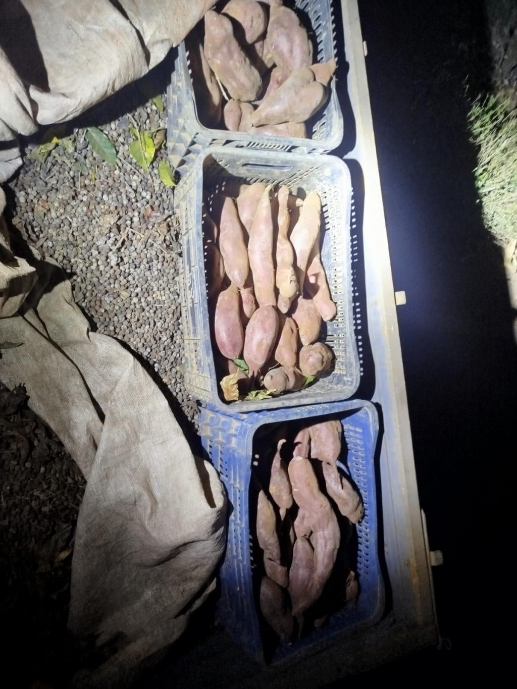 Imagem 3 do post Polícia Militar apreende carga furtada de café na zona rural de Patrocínio