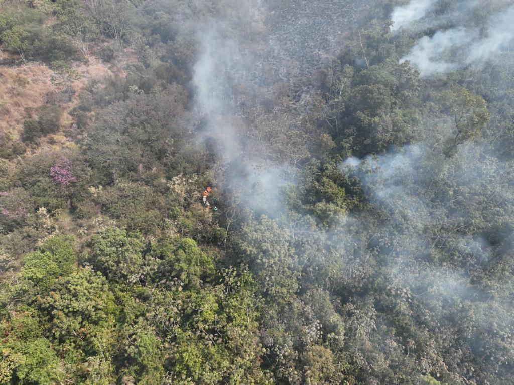 Imagem 3 do post Polícia Militar e bombeiros combatem incêndio de 526 hectares em fazenda da região