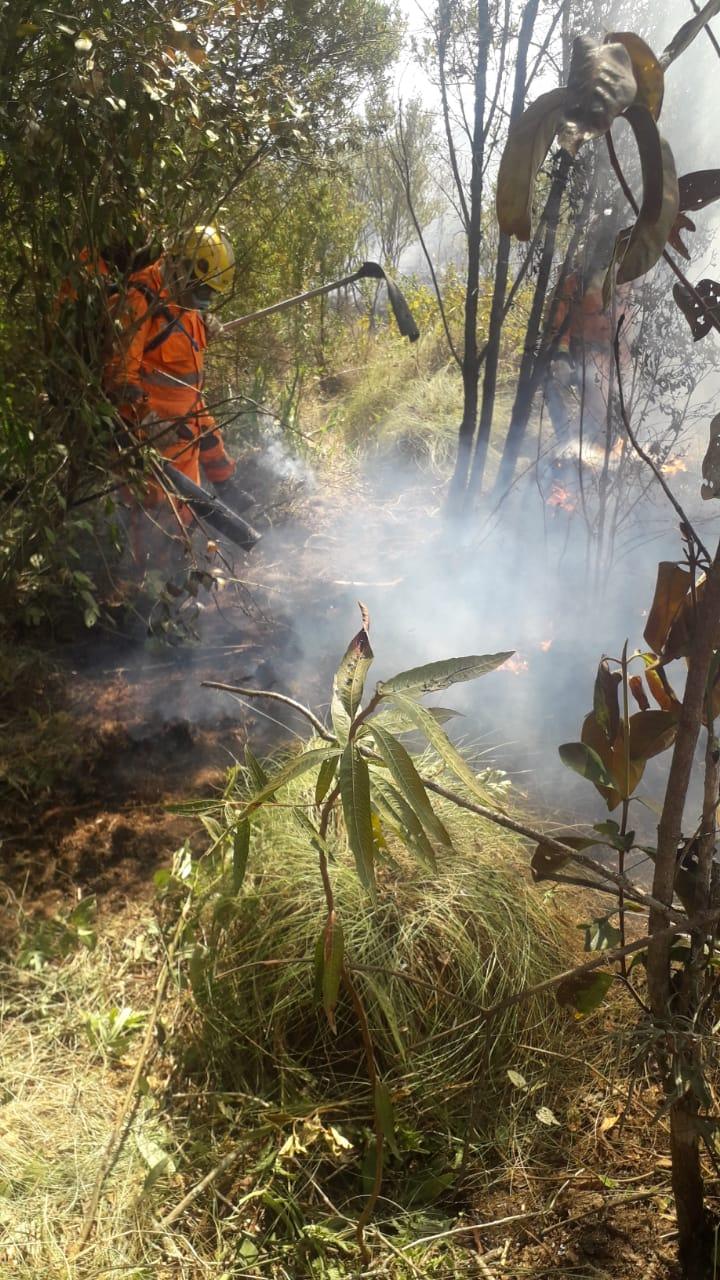 Imagem 2 do post Polícia Militar e bombeiros combatem incêndio de 526 hectares em fazenda da região