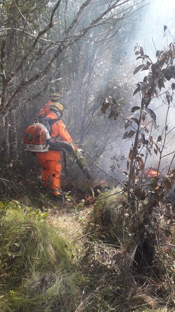 Imagem 1 do post Polícia Militar e bombeiros combatem incêndio de 526 hectares em fazenda da região