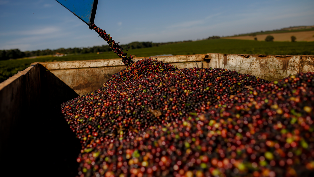 Prêmio Região do Cerrado Mineiro bate 714 inscrições e...