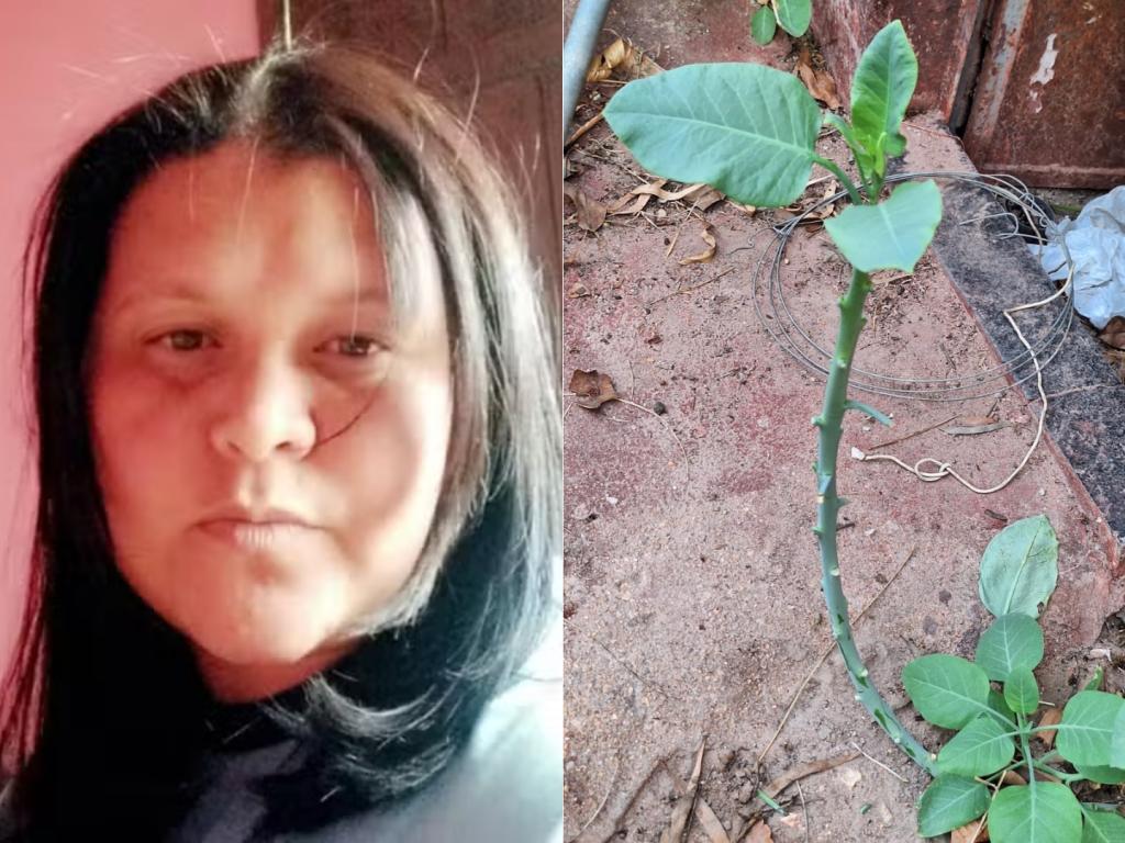 Mulher que morreu por intoxicação causada por falsa couve...