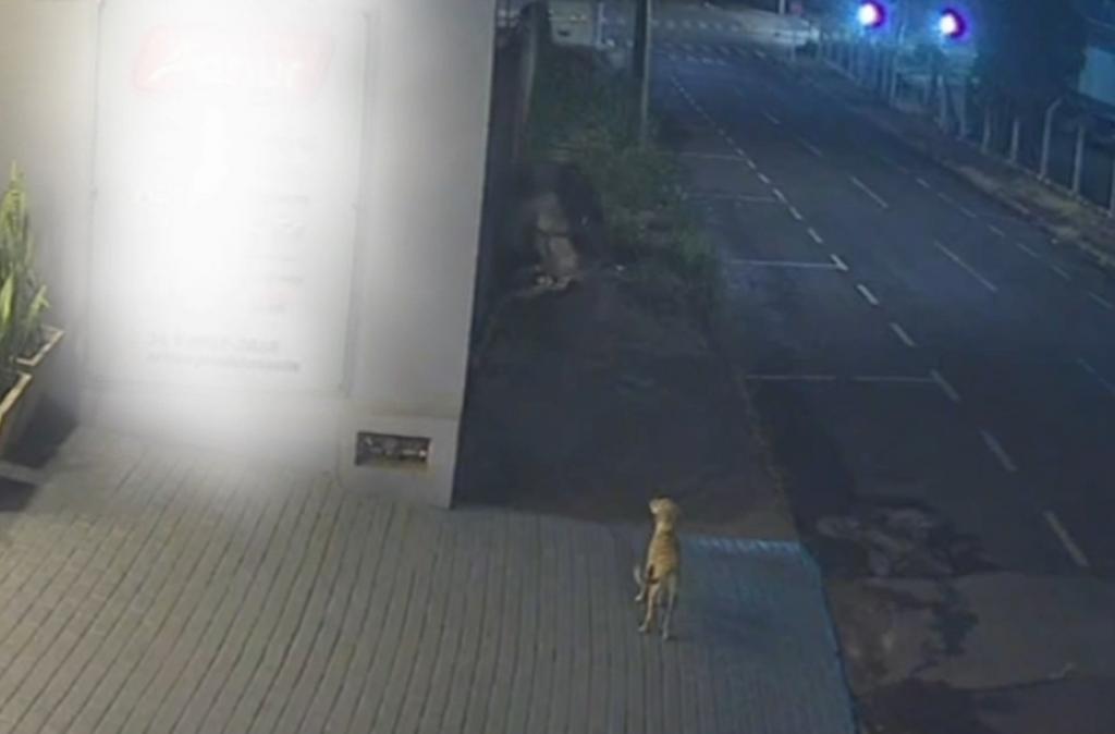 Suspeito de furtos em lojas do Centro de Patrocínio...