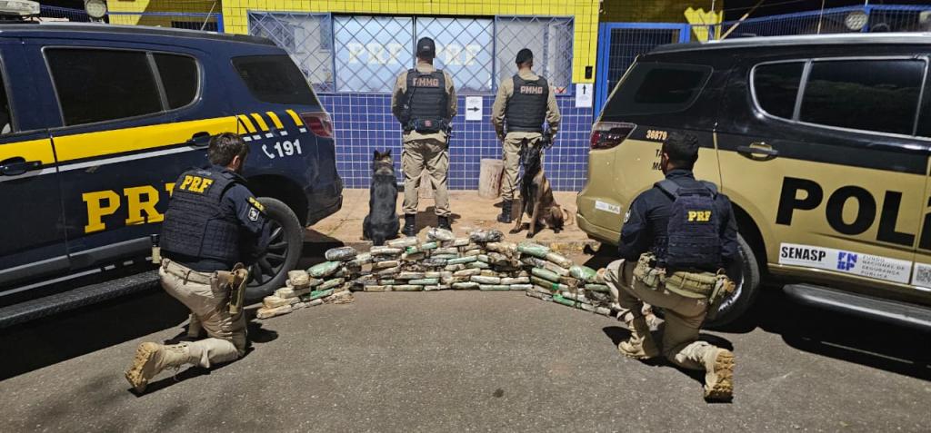 PRF apreende drogas escondidas em pneus de caminhão na BR-365, em Patos...